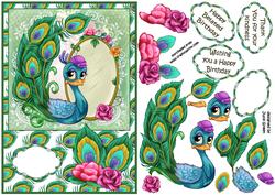 The Little Coy Peacock