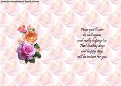 Bestow the Roses Get Well Insert