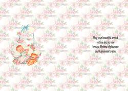 Vintage Baby Insert