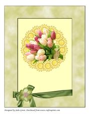 Beautiful Tulips