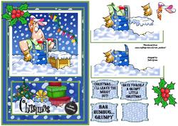 A Grumpy Christmas Delivery