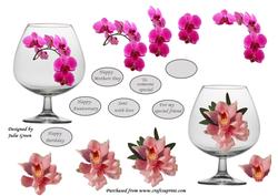 Orchids in a Glass