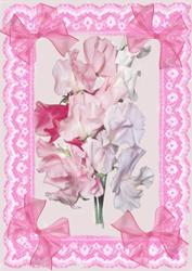 Sweet Peas