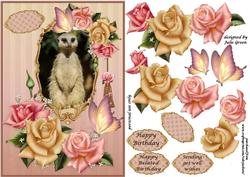 Meerkat and Roses