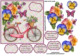 cycle amongst the flowers