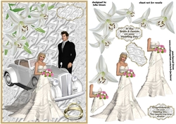 beautiful Bride and groom