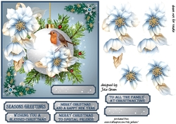 Christmas robin