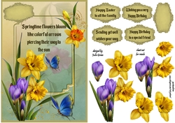 Spring flowers