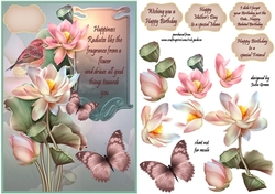 Lovely Lotus Flowers