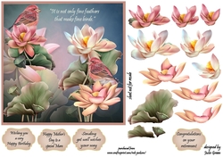 Fine feathers and flowers