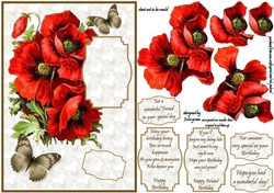 Poppy flowers and petals