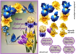 Bloom with grace