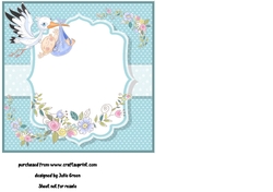 Baby boy delivery insert