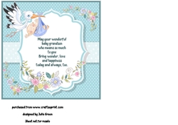 Baby boy delivery  Grandparentsinsert