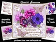 Colourful Anemones