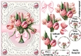 Tulips in pink A5