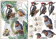 Feathered Friends