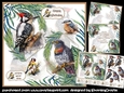 Feathered Friends 7x7