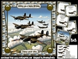 Valient Warbirds 8x8