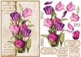 Anniversary Tulips