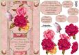 Colourful Roses Belated