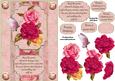 Colourful Roses Birthday
