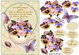 Flowers of Every Hue Pansies