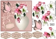 Beautiful amaryllis