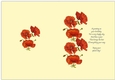 Poppies and verse insert