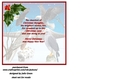 Christmas winter birds of prey insert