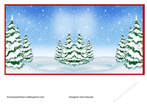 Insert to match Christmas card front with football & Santa hat