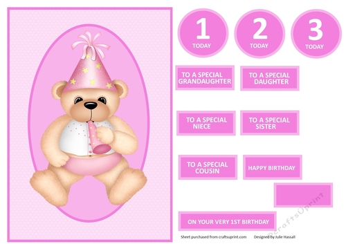 Pink Party teddy mini kit ages 1-3 with 3D teddy & family sentiments
