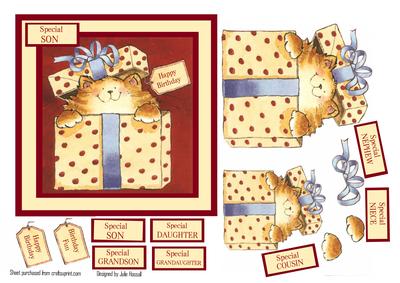Son Birthday Card with Cat in Gift Box