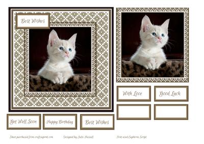 Multi Purpose Card with Kitten Image