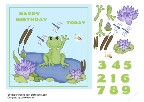 Birthday card with frog on a pond and ages 1 to 9