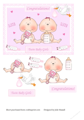 Twin baby girls with rattle, stork, name tags & hearts