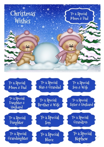 Christmas card kit with winter bears, insert & large choice of family sentiments