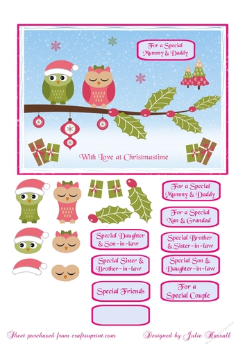 Christmas card with Owls on a branch and family sentiments