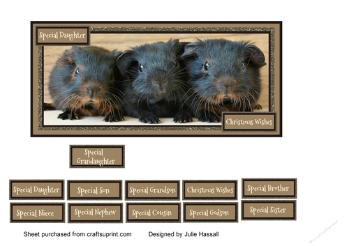Christmas card with cute baby guinea pigs