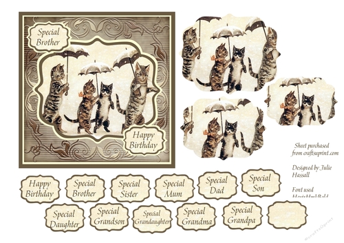 Birthday card with cats in the rain & large choice of family tags