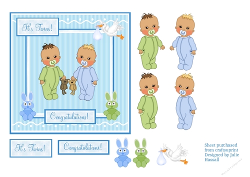 New Baby twin boys congratulations card