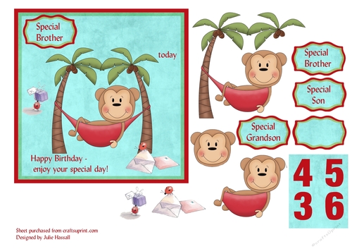 Cheeky monkey birthday card with decoupage, relatives & ages