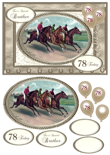 Horseracing 78th birthday card
