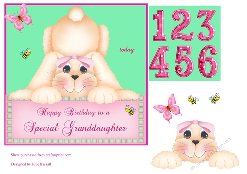 Cute bunny birthday card for Grandaughter with butterfly, bees and ages 1-6