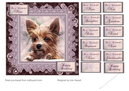 Yorkshire Terrier birthday card front with family tags