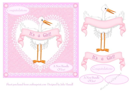 Its a Girl! New baby card with 3D stork & banner
