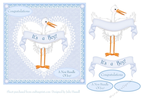 Its a boy new baby card with 3D stork & banner