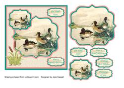 Get Well Soon Card with Mallard Pond Scene