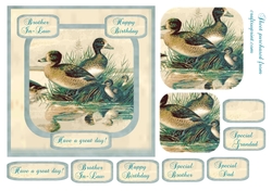 Brother in law birthday card with pyramid image of mallards
