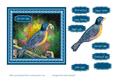 Get Well Card with Colourful Bird on a Fence